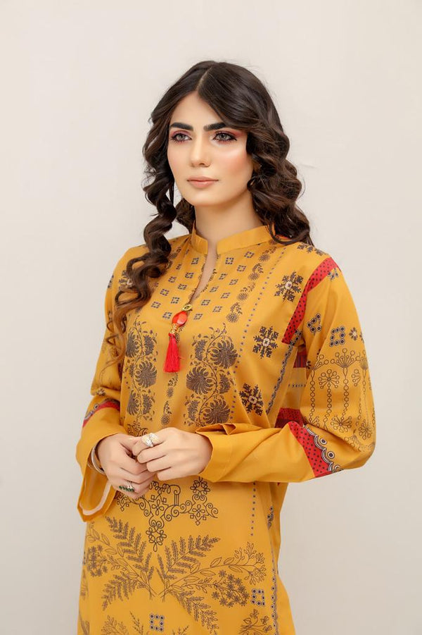 Stitched Rangreza Lawn Shirt